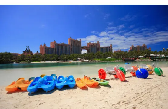 111699 283217 7FU2RvwtaFcT2T5nHZ0m9ROGOmweS7IPyjF20LwN6k8 6670ec47ee235.jpg