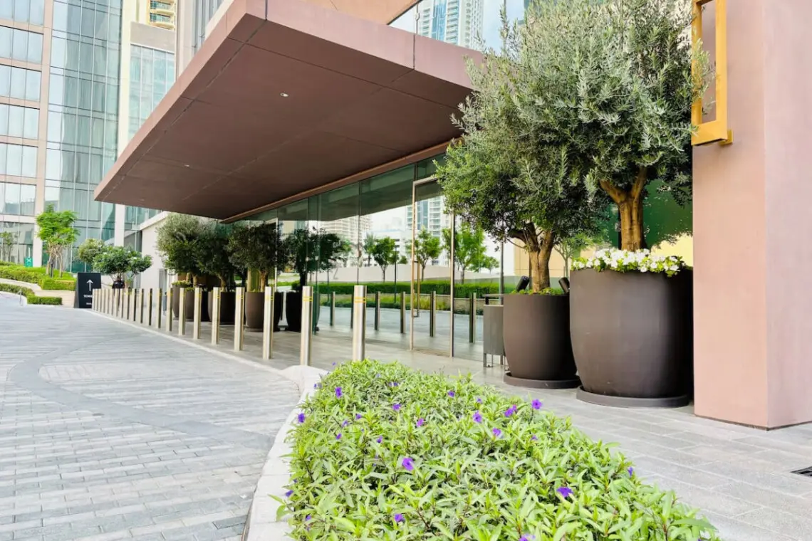 111699 283219 87v2qn9u5SmQ2lSjWg1233Cf2cDTjmL CDsxqSj826o 6670ebdf08c13.jpg