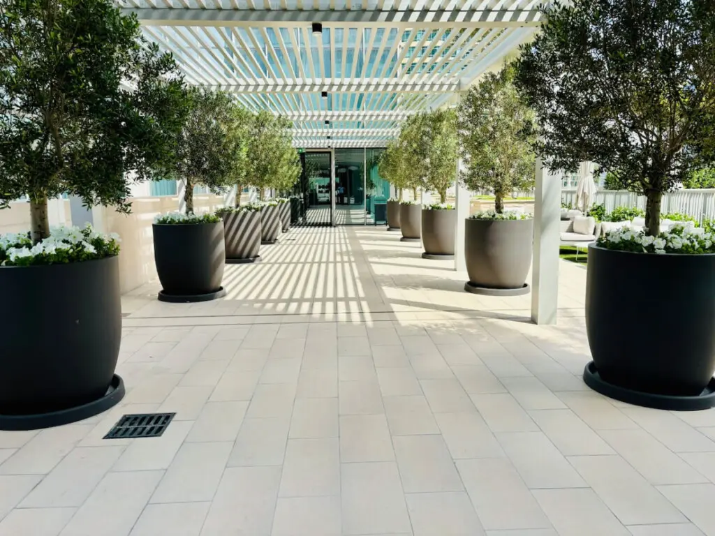 111699 283219 R2oUctn6Biylmj8Xfm5pxaQSSVZdoSTLoP0lu6i4R30 6670ec280a250.jpg