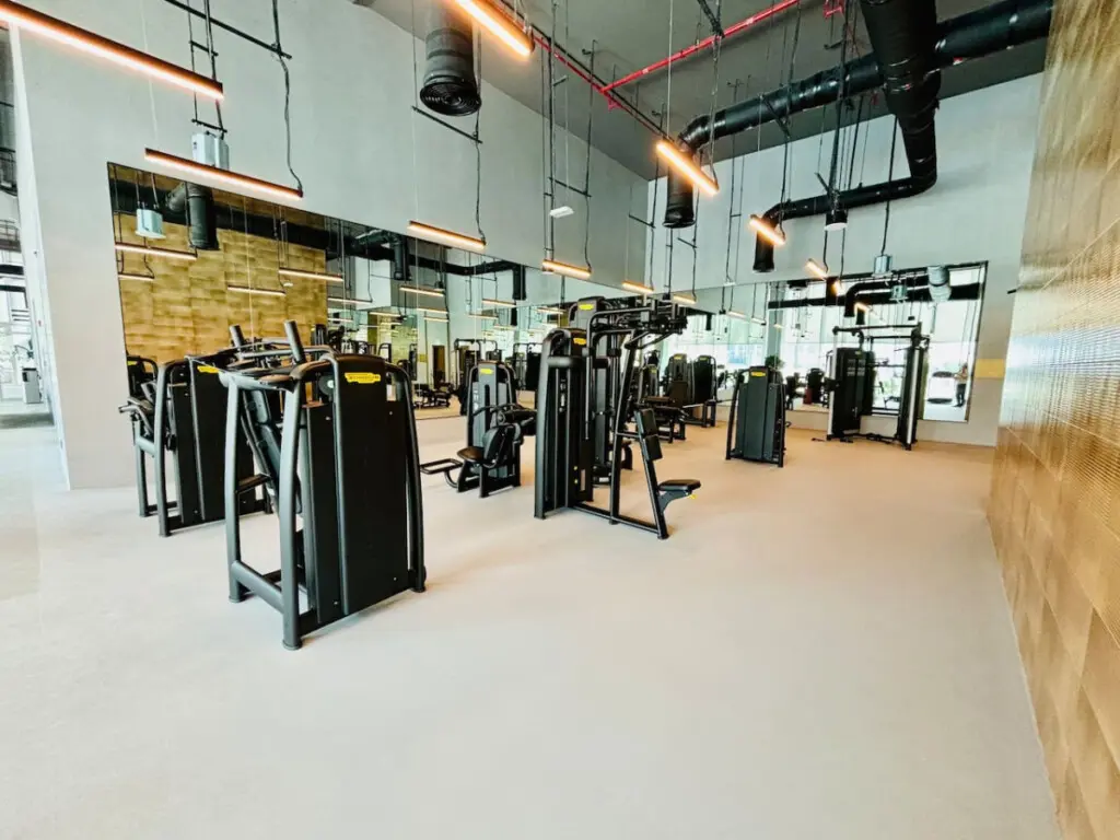 111699 283220 NYHExLD8ySishdyTbMApDNT8DQ5Fect7 puZ2t91Qiw 6670eba342e99.jpg