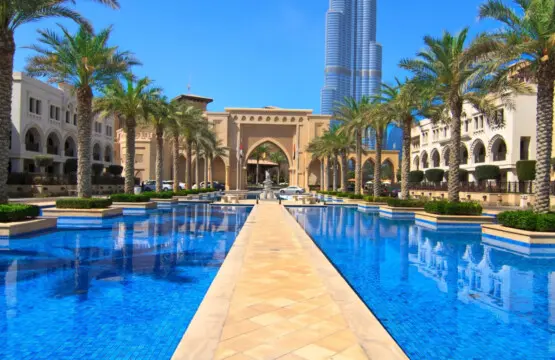 111699 302505 czm94Rs8NQsaL5xRgtBcP65R1P f 4FQBqQoJoiP8Ws 66c9a12e44662.jpg