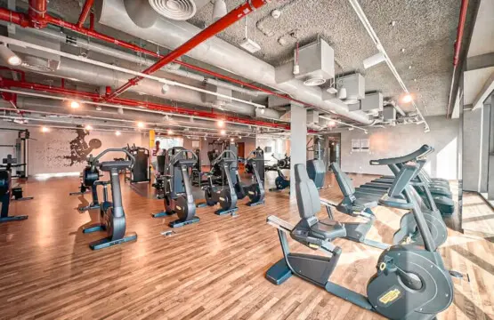 111699 373991 4 XlxksDU123s7c0K1hzAyBceBjc6ulOZRvJLa rbH8 67e87c12d3365.jpg