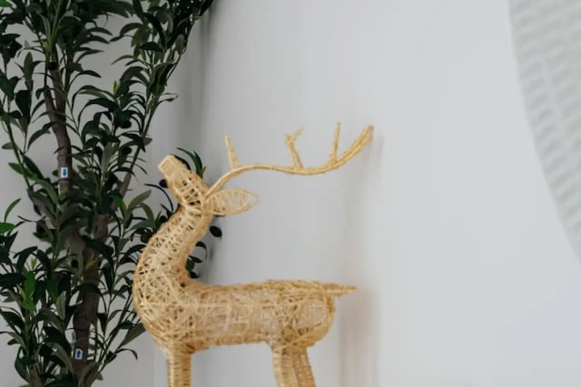 111699 439438 meqqBWx8mgpzLsrXHxmaQQ SpaHEyIm6 q jsIANIgQ 68e2345118001.jpg