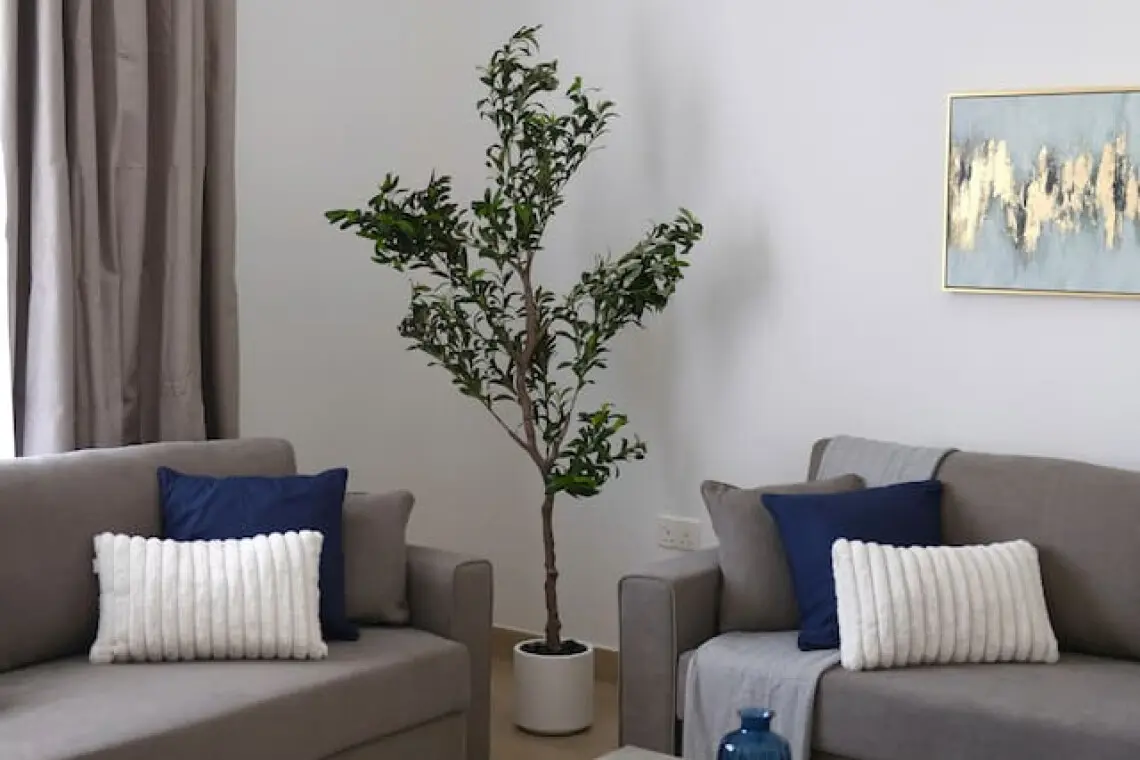 111699 441733 ltf0hLhLfywypgzVDDZJuE6SOl2CXDCHPCumZJd7gzs 68eb527fc76ac.jpg