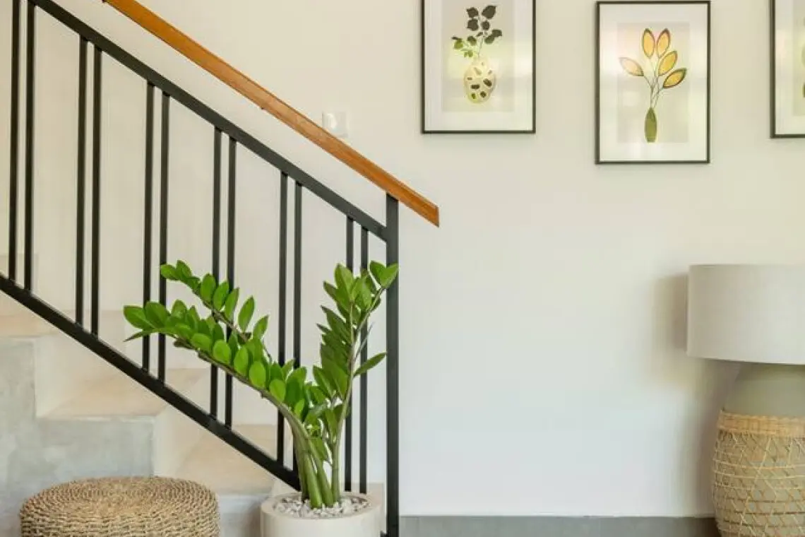 111699 451304 9wrxoky7SWuWnMMZGY4bZ8vcJ2wBdf7XmImVoNInGuk 691194da3e8ed.jpg