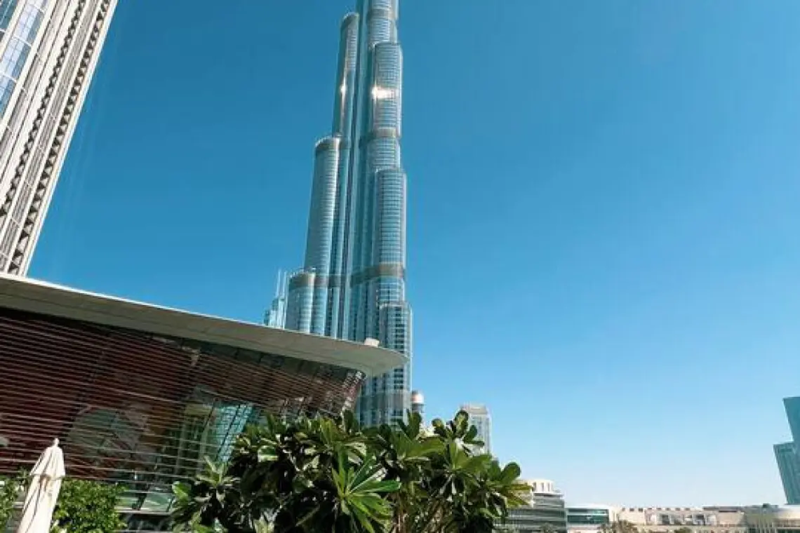 111699 451959 7rcCI2bARVUxlEw4BooZtcj2jasTC0GGuBUQbhmEkFo 691374d4aae76.jpg