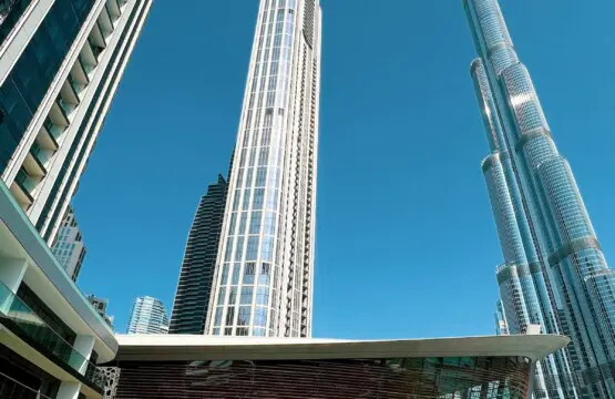 843ba21f 96a9 4c8f 9b3a f0d4d1ed65aa.jpeg.jpg