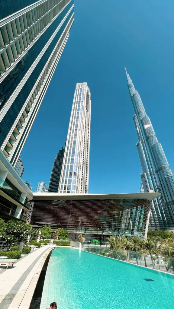 843ba21f 96a9 4c8f 9b3a f0d4d1ed65aa.jpeg.jpg