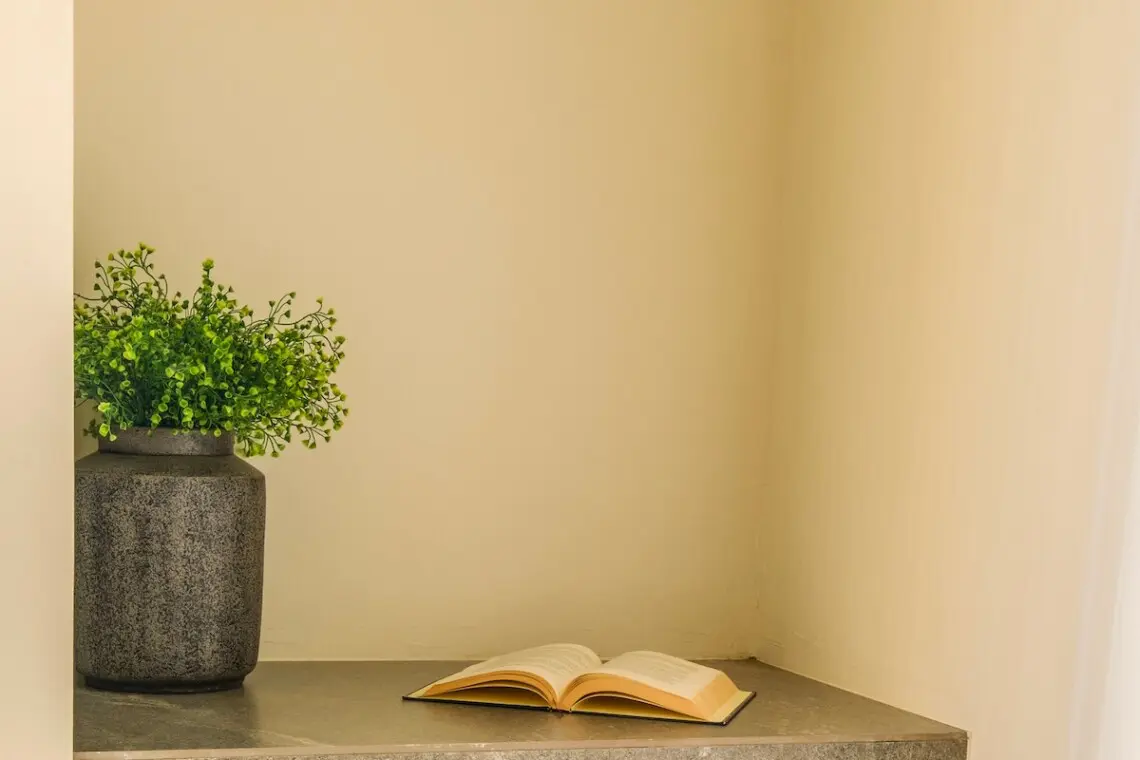 51b9d8b5 64fd 4cda 8ee9 581a4c3e7b34.jpeg.jpg