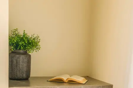 51b9d8b5 64fd 4cda 8ee9 581a4c3e7b34.jpeg.jpg